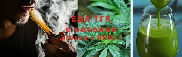 индика Пестово