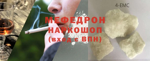 индика Пестово