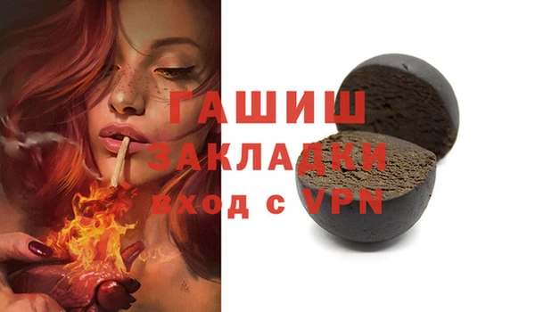 индика Пестово