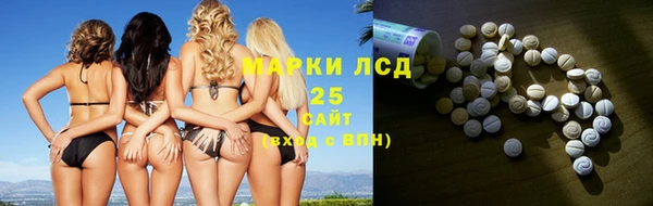 индика Пестово