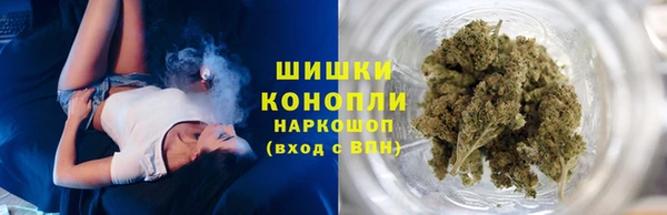 индика Пестово