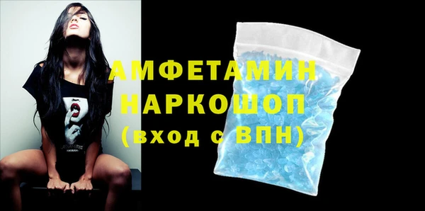 индика Пестово