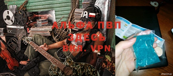 индика Пестово