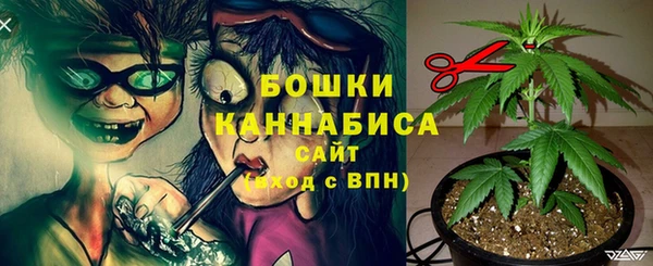 индика Пестово
