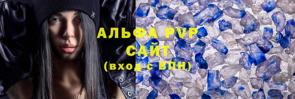 индика Пестово