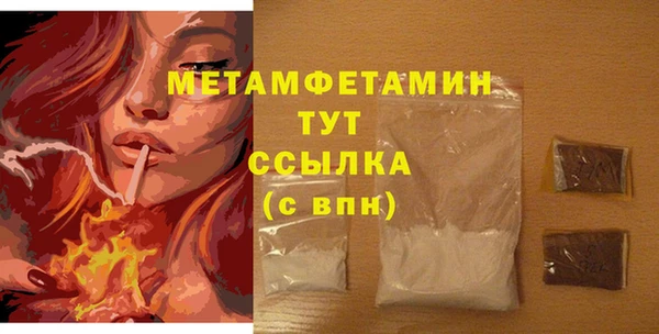 индика Пестово