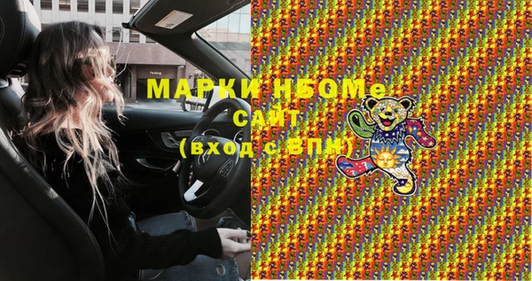 индика Пестово