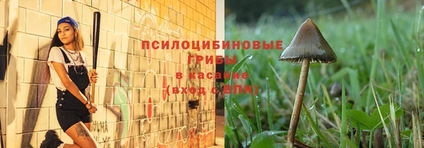 индика Пестово