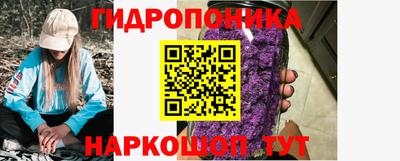 крисы Заводоуковск