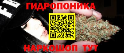крисы Заводоуковск