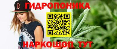 apvp Заволжье