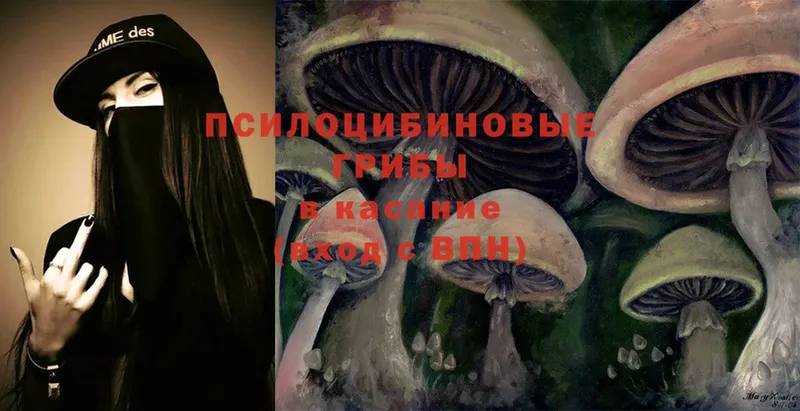 Псилоцибиновые грибы Cubensis  мега рабочий сайт  Сафоново 