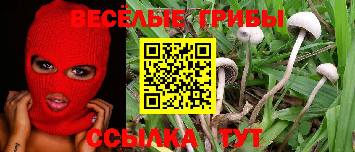 Псилоцибиновые грибы ЛСД Сафоново